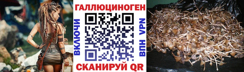Псилоцибиновые грибы Psilocybine cubensis  где продают   Лесозаводск 